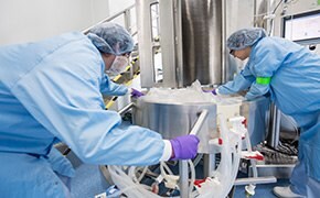 Clinical & Commercial Drug Substance Manufacturing Monoclonal antibody and recombinant protein GMP clinical and commercial manufacturing