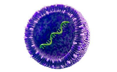mRNA Within Lipid Nanoparticle Image d'un ARNm encapsulé dans une nanoparticule lipidique