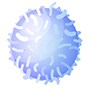 Immunotherapies 면역요법 설명