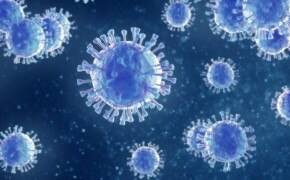 Vaccine bulk lot release testing 백신 개발을 위한 생물 안전성 검사