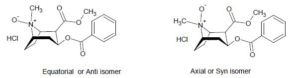 axial-or-syn-isomer Equatorial or Anti isomer and Axial or Syn isomer