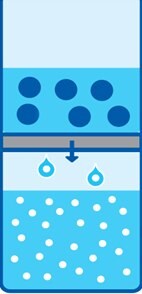 Ultrafiltration for concentration of virus. Fluid passes through the membrane filter, while large viral particles are retained.