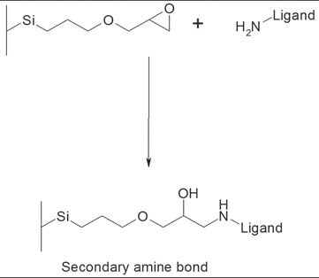 Reaction between epoxide functions on monolithic surface Reaction between epoxide functions on monolithic surface