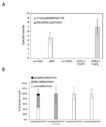 A quantitative mass spectrometry-based approach for identifying protein kinase clients and quantifying kinase activity The in vitro assay reveals kinase sensitivity. (A) The recombinant PDK and CPK3 phosphorylate respective cognate substrate peptide in cocktail. (B) Oxidation of Met293 inhibits phosphorylation of Ser292 in the peptide substrate YHGHSMSDPGSTYR. All values are means ± std of four repeats.