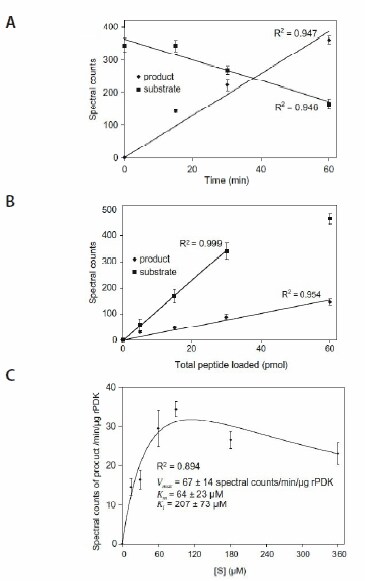 Initial rate analysis of AtPDK. (A) Progress curve of PDK activity. (B) Dynamic range of detection and quantitation of substrate and product peptides. (C) Plot of V versus [S]. All values are means ± std of four repeats. rPDK, recombinant pyruvate dehydrogenase kinase.