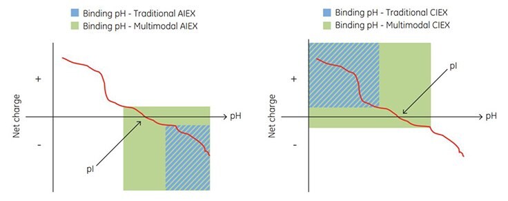 Net charge of a protein vs pH