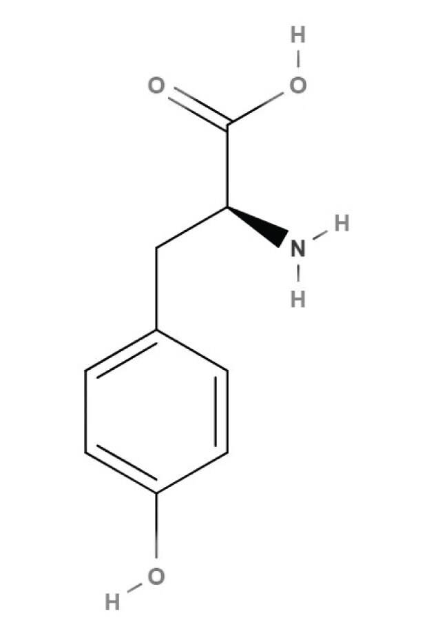 L-tyrosine chemical structure Keywords: L-tyrosine, tyrosine, amino acids