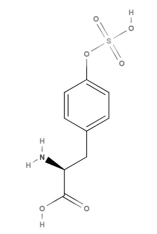 Chemical structure of sulfotyrosine Keywords: sulfotyrosine, tyrosine, amino acids