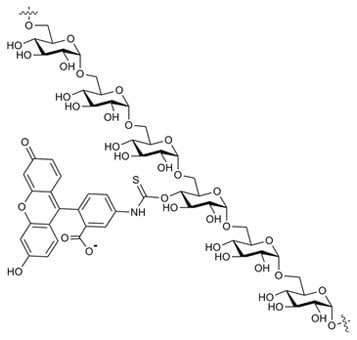 Fluorescein Isothiocyanate Dextran Structure