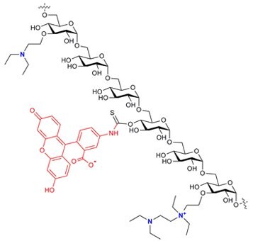 FITC-DEAE-Dextran Structure