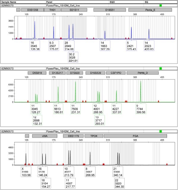 Cell line authentication