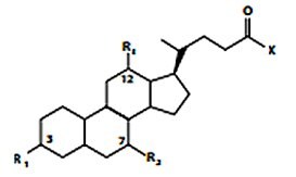 Structural Overview of Bile Acids and Conjugated Salts with Corresponding m/z Values