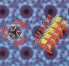 Safer serum for cell culture comes from countries and regions at low risk for bovine spongiform encephalopathy (BSE) prion transmission