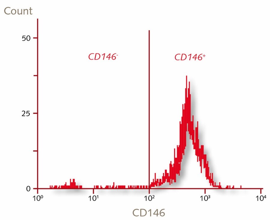 Flow cytometric analysis of PromoCell’s human placental pericytes Characterization of human placenta derived vascular pericytes