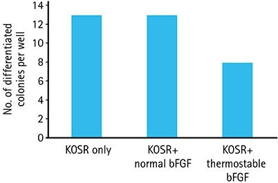 Human iPS cells show lower levels of spontaneous differentiation using an every-third-day feeding regimen when used in combination with HumanKine® Thermostable bFGF.