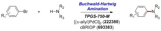 buchwald-hartwig-amination-reaction Buchwald-Hartwig Amination Reaction