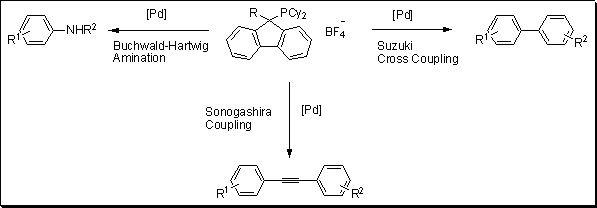 catacxium-figure-11 Cross-coupling Reactions