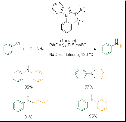 catacxium-scheme-31 catacxium
