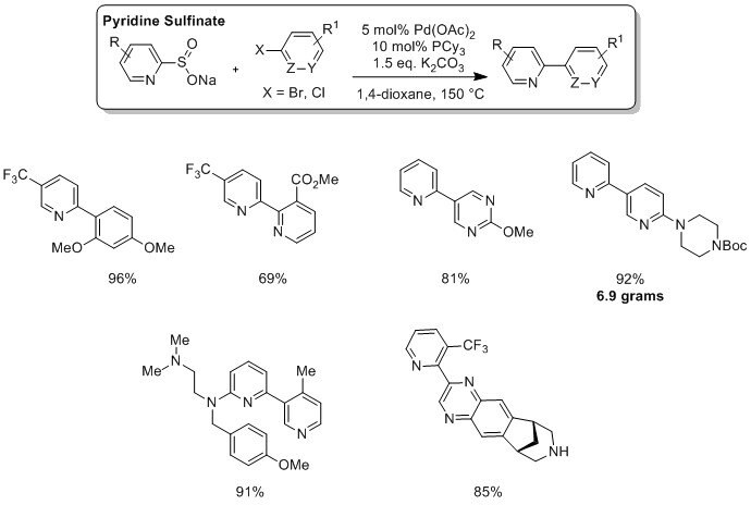 Representative Scheme and Examples