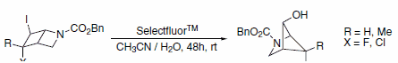 rearrangement of iodides