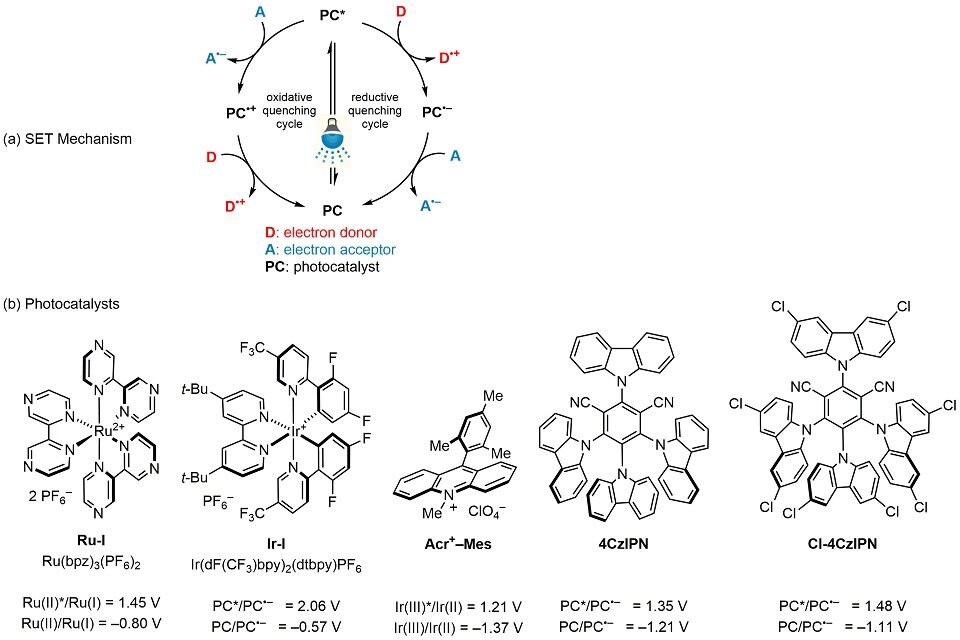 Single-Electron Transfer (SET) Mechanism. (b) Popular Oxidizer Photocatalysts An illustration of single-electron transfer mechanism pathway and chemical structures of commonly used oxidizer photocatalysts