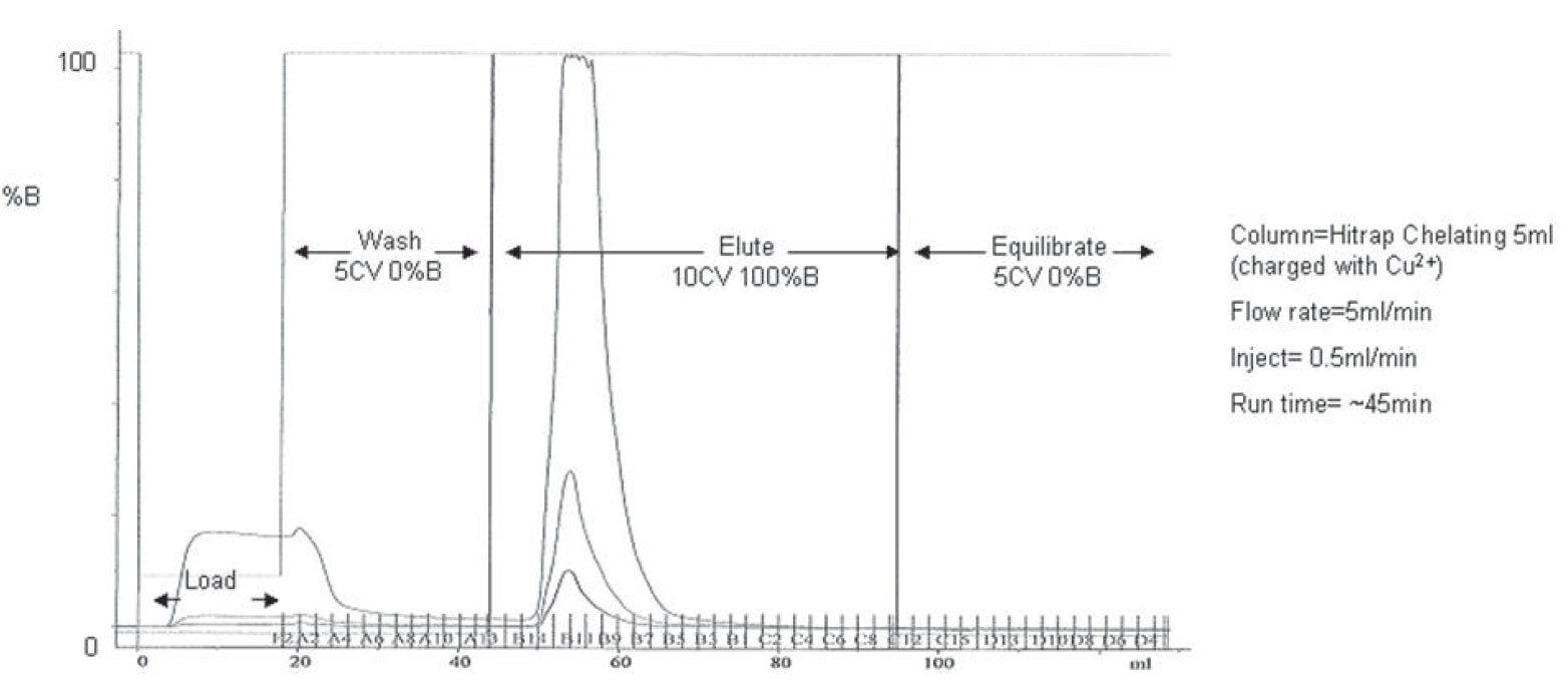 A typical IMAC purification trace obtained using a GE Akta Explorer purification system.