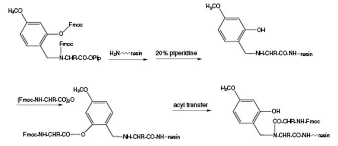 Mechanism of acylation of Hmb-protected residues