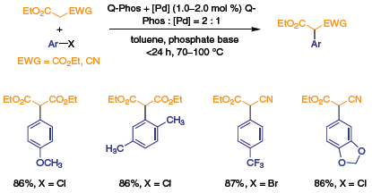 Suzuki-Miyaura Coupling and α-Arylation