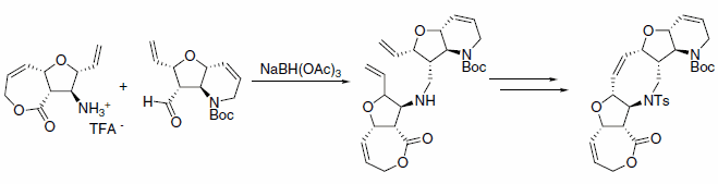 triacetoxyborohydride triacetoxyborohydride