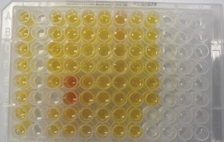 Actual samples for extraction 1 Supel™ BioSPME 96-pin device with actual samples for extraction 1 showing wells loaded with 200 µL of either serum sample (yellow/red) or a calibrator prepared in phosphate buffered saline.