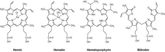 Chemical Structures of Hemin, Hematin, Hematoporphyrin, and Bilirubin