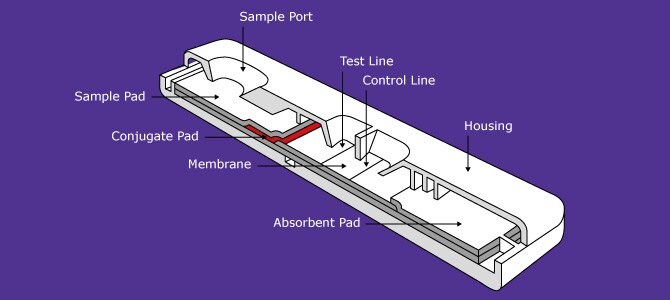 Lateral flow diagram Lateral flow diagram