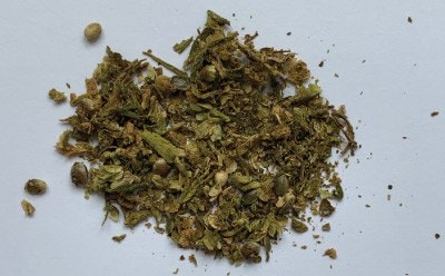 Hemp Buds “Finola” After Three Minutes of Grinding Using a Wooden Rolling Pin.