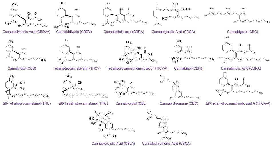 Struktury chemiczne siedemnastu kannabinoidów analizowane metodą HPLC-PDA (wysokosprawna chromatografia cieczowa - matryca fotodiodowa)