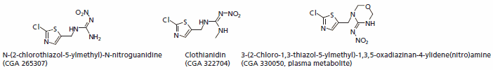 Major Metabolites of Thiamethoxam