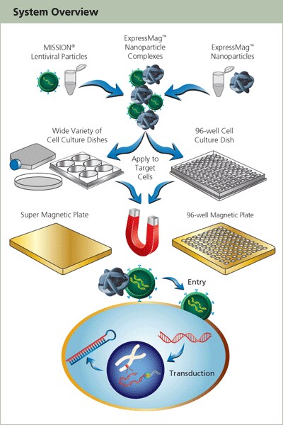 High-throughput Assay Optimization Overview High-throughput Assay Optimization Overview