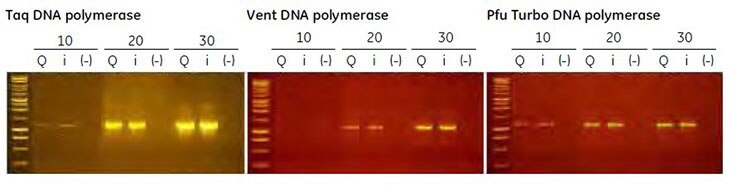 End-point PCR using several thermostable polymerases