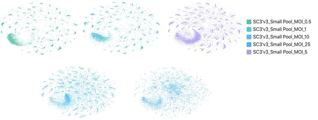 clustering-crispr-guides Monitoring multiple viral transductions at single cell resolution
