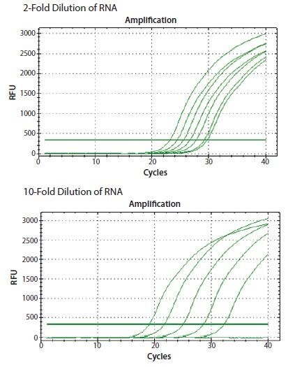 ReadyScript® RT reagent was used to reverse transcribe total RNA from a 2-fold and a 10-fold serial dilution.