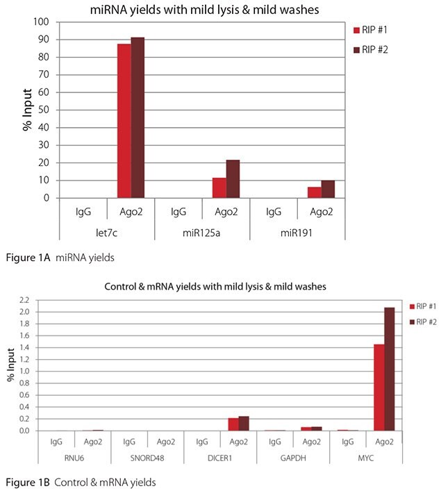 RT-qPCR results for Ago2 RIP with mild lysis and mild washes RT-qPCR results for Ago2 RIP with mild lysis and mild washes
