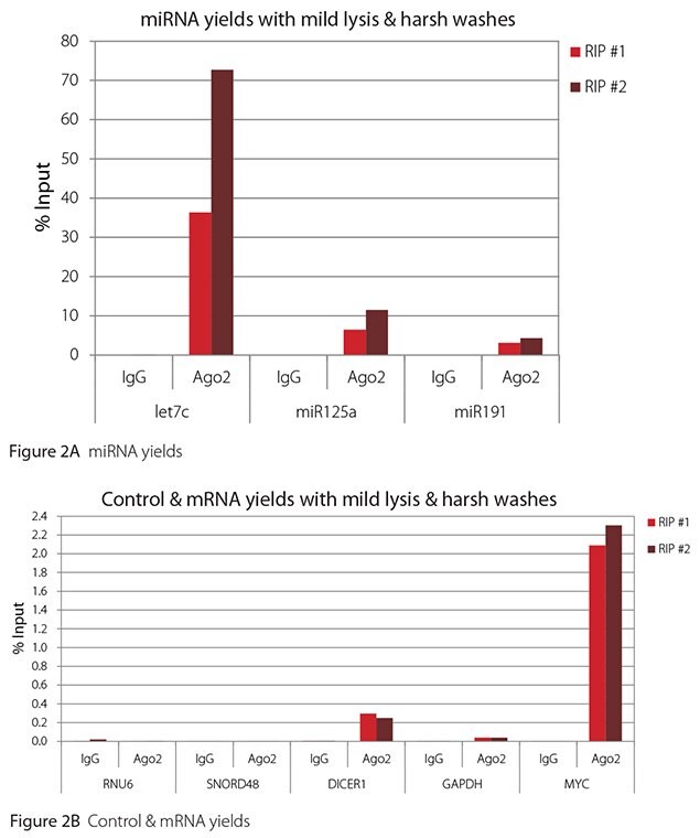 RT-qPCR results for Ago2 RIP with mild lysis and harsh washes RT-qPCR results for Ago2 RIP with mild lysis and harsh washes