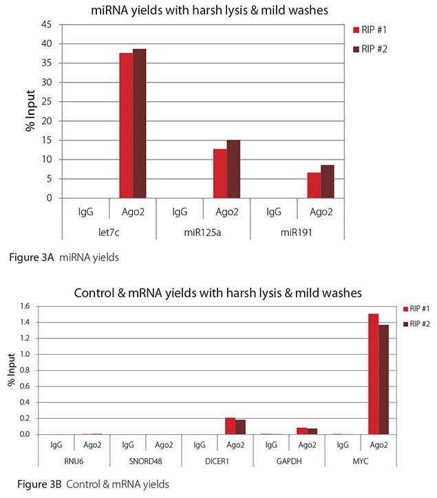 RT-qPCR results for Ago2 RIP with harsh lysis and mild washes RT-qPCR results for Ago2 RIP with harsh lysis and mild washes