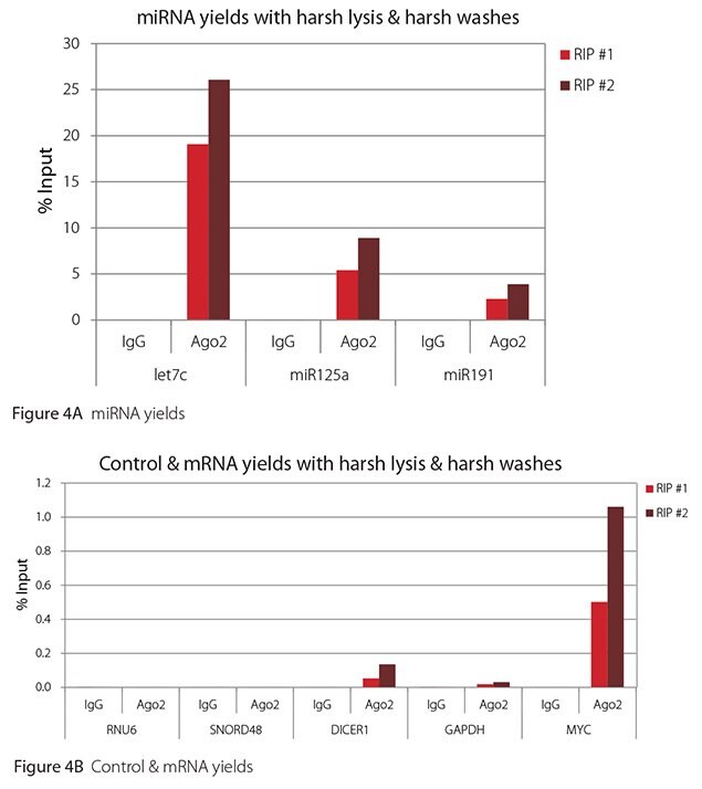 RT-qPCR results for Ago2 RIP with harsh lysis and harsh washes RT-qPCR results for Ago2 RIP with harsh lysis and harsh washes