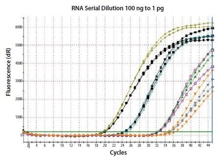 Total RNA was diluted through 100-fold and reverse transcribed using two-step random priming; two independent RT reactions were performed. β-actin was detected in duplicate qPCRs for each RT reaction.