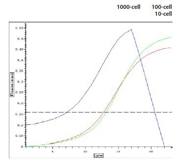 RNA Amplification Profiles