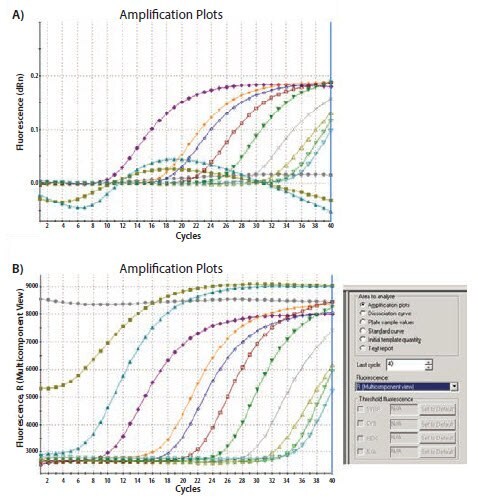 Amplification of a 10-fold serial dilution of an artificial template with specific primers and a FAM-labeled probe