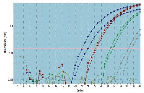 A cDNA sample was diluted through a 10-fold serial dilution and the specific template detected using duplicate qPCR for each dilution