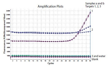 Three genes were detected in the same template sample