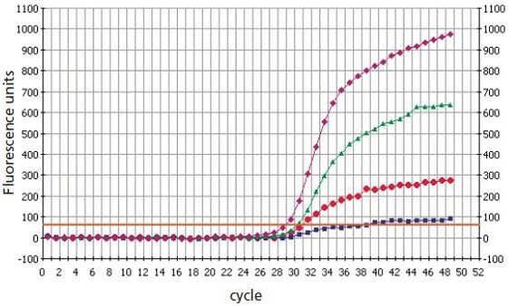 LNA Dual-Labeled Probes discriminate better than DNA Dual-Labeled Probes in SNP genotyping analysis