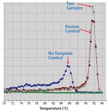 A positive control, test reaction and NTC were amplified